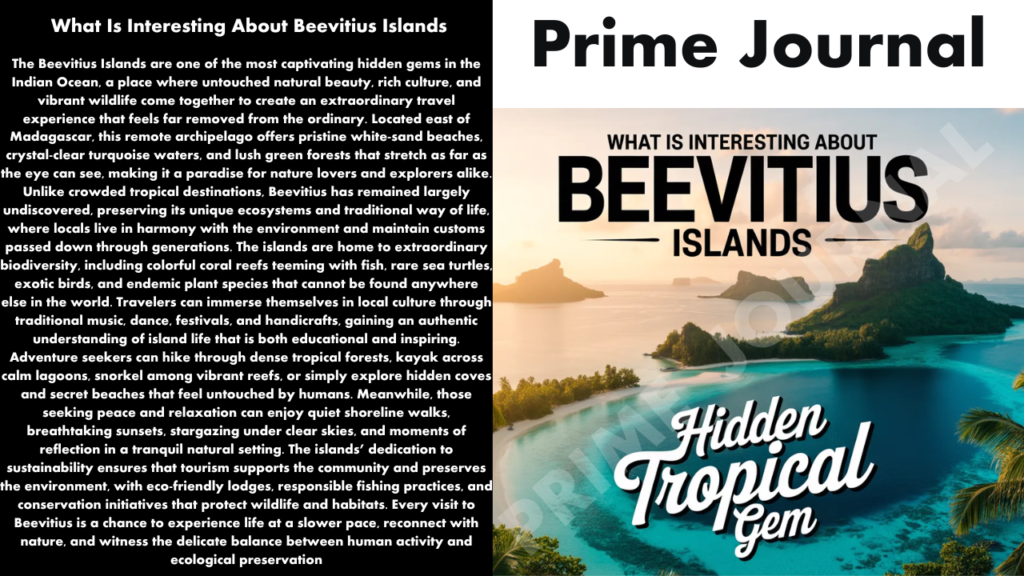 What Is Interesting About Beevitius Islands