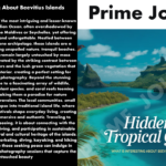 What Is Interesting About Beevitius Islands