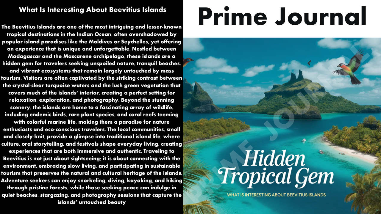 What Is Interesting About Beevitius Islands