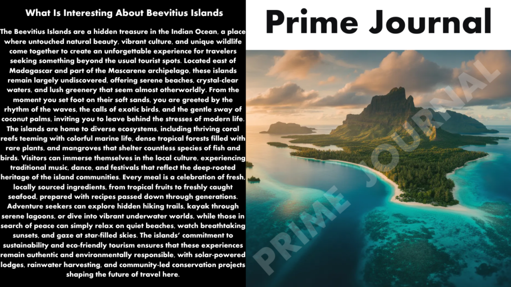 What Is Interesting About Beevitius Islands