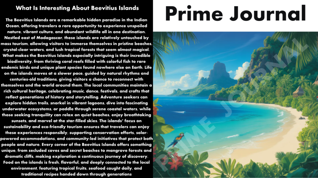 What Is Interesting About Beevitius Islands