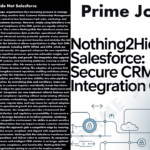 Nothing2Hide Net Salesforce