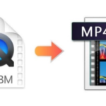 How to Convert WebM to MP4