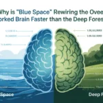 Why Is "Blue Space" Rewiring the Overworked Brain Faster Than the Deep Forest?